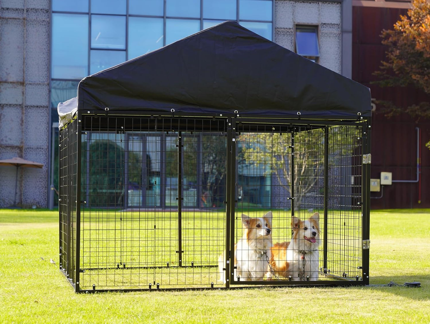 Large Outdoor Dog Enclosure,Heavy Duty Dog Cage with Roof,Galvanized Steel Dog Kennel Fence with Double Safety Locks(6.56'x 6.56')