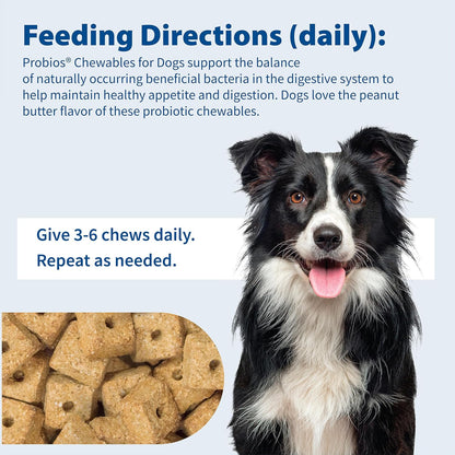 Probios Digestive Support Chewables for Dogs, Daily Probiotic Supplement for Gut Health, Digestion & Immune Support, 1 lb (Pack of 2)