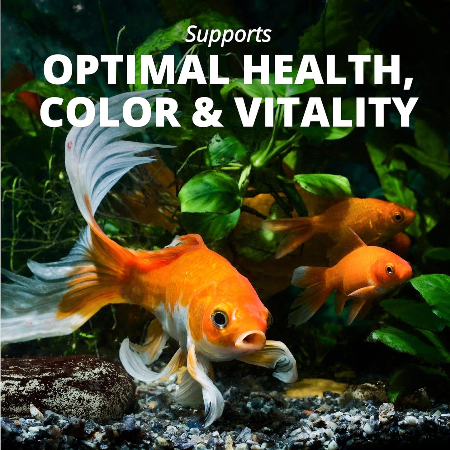 Tetra Goldfish Flakes, Nutritionally Balanced Diet for Aquarium Fish, Vitamin C Enriched Flakes, 8.81 Ounces