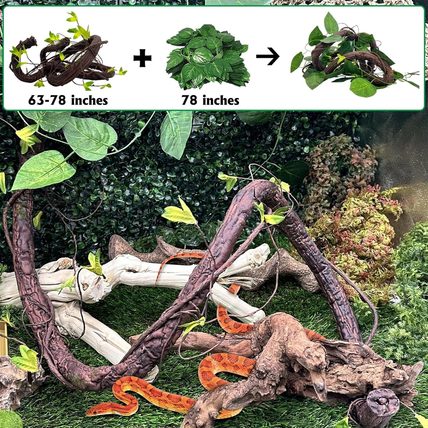 VCEPJH Reptile Bark Bedding,1 LB Natural Cork Bark for Geckos and Large Reptile Vines Thick Terrarium Plants 118 Inches Long Flexible Climbing Branch Bearded Dragon Chameleon Gecko Frog Lizard
