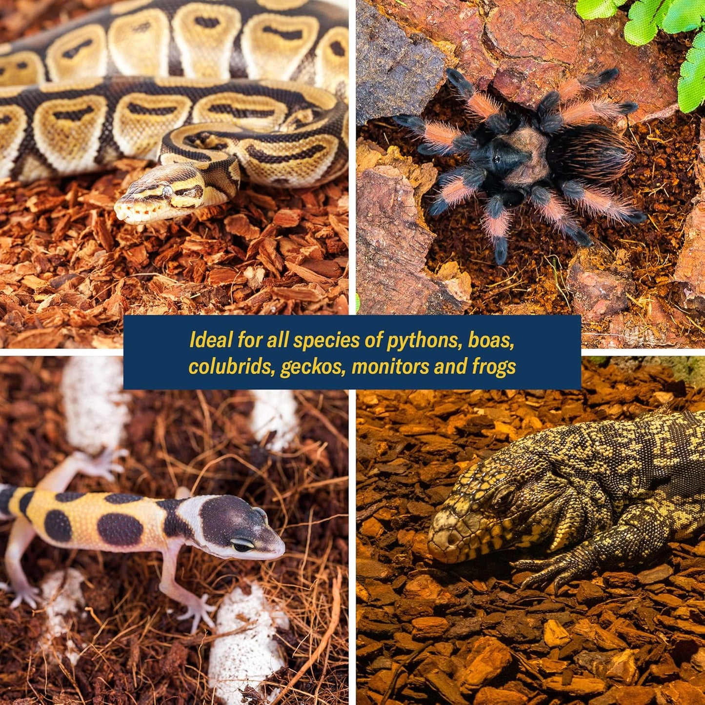 Coconut Chips Substrate Block - Natural, Organic Bedding for Reptiles, Snakes, Tortoise, and Amphibians - Clean, Odor Absorbing, and Expandable up to 75 Quart - Tank Coco Husk