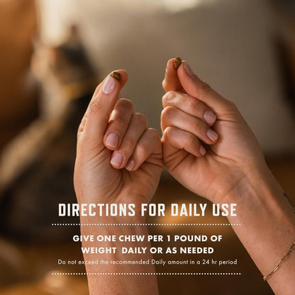 Rocco & Roxie Cat Urinary Tract Health Supplement, Cranberry and D-Mannose for Bladder, UT and Kidney Support for Cats, Vet-Recommended, Chicken-Flavored Crunchy Chews, Made in USA