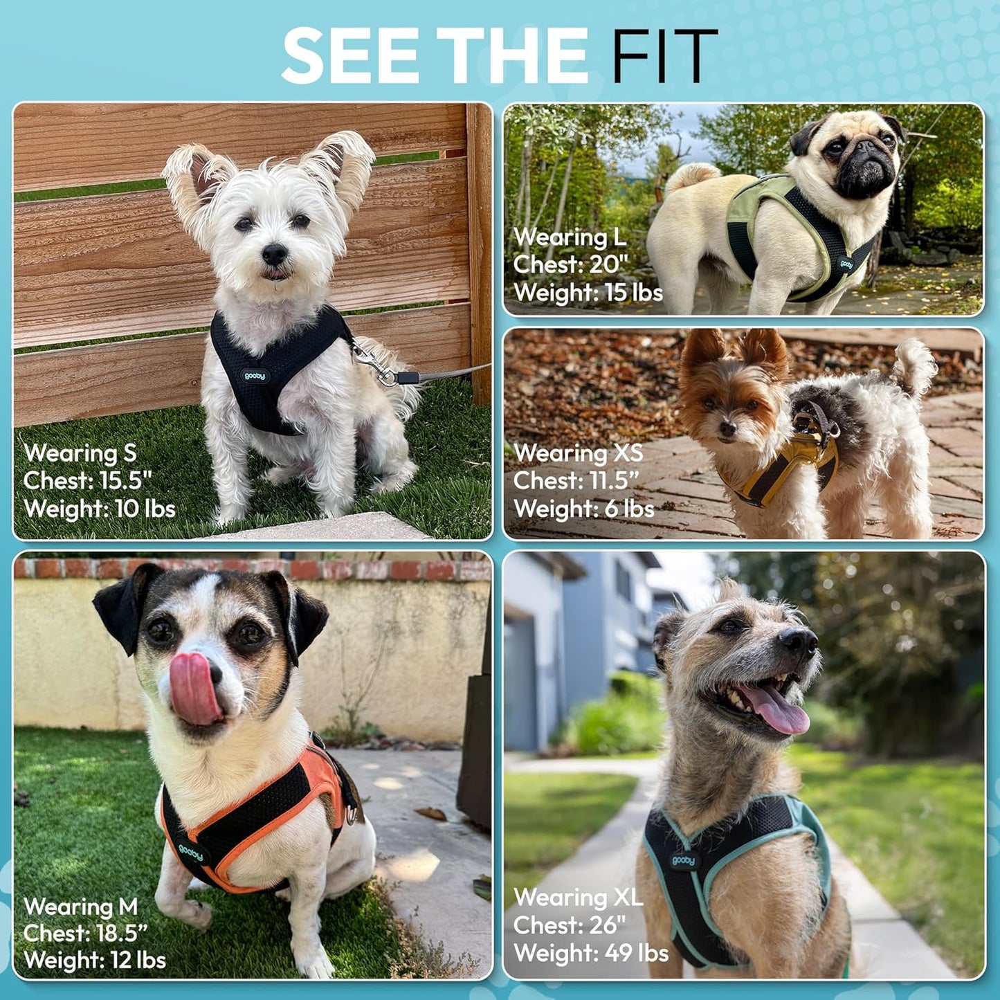 Gooby Escape Free Easy Fit X Step in Dog Harness - Seattle Blue, Small