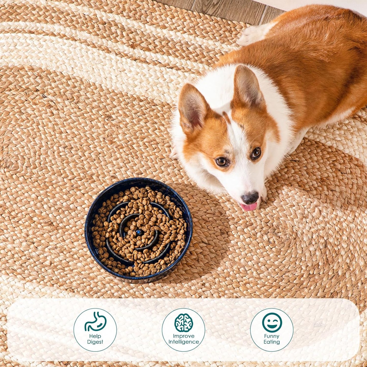 vancasso Slow Feeder Dog Bowl, 1.5 Cups Ceramic Slow Feeder for Medium Breed, Puzzle Maze Dog Food Bowl for Fast Eater, Blue