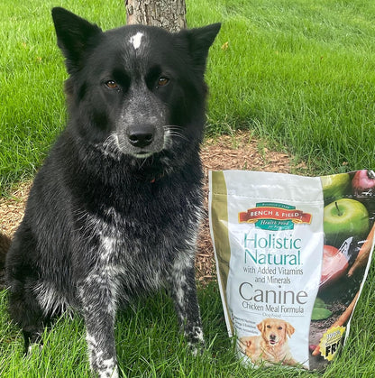 Bench & Field Holistic Natural Adult Dry Dog Food, Chicken Meal and Brown Rice Recipe 6.6 lb Bags (Pack of 3)