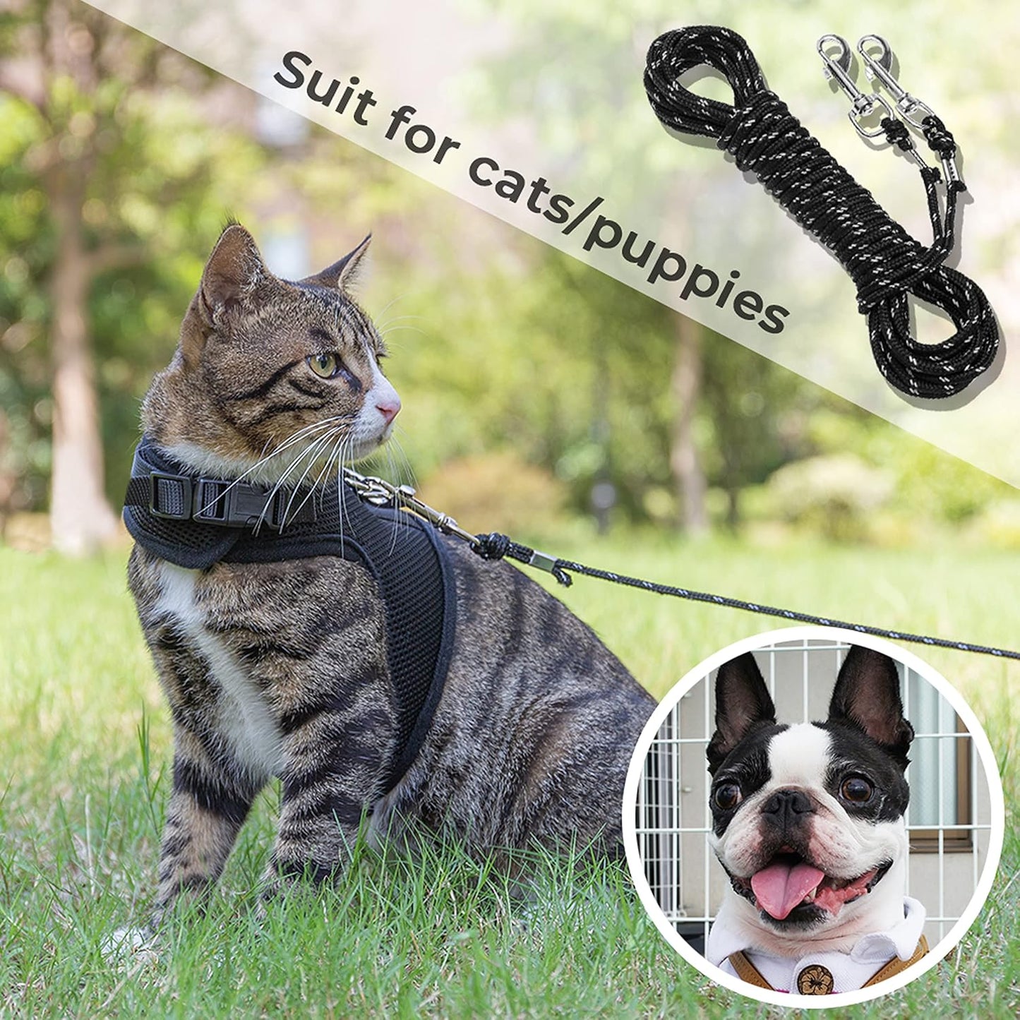 Reflective Cat Leash, 30ft Escape Proof Walking Lead Yard Long Leash, Extender Leash Training Playing Outdoor for Cats Puppy Kitten Small Dogs Rabbit Small Animals