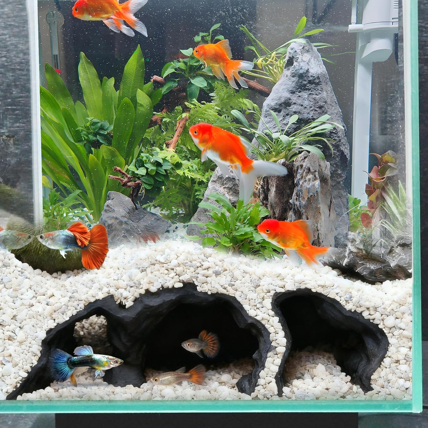 LIYAOLI Aquarium Ornaments Cave Tunnel with Viewing Ports | Fish Tank Decoration Hideout for Pleco, Shrimp & Corydoras | Substrate-Friendly Design & Sinking Base