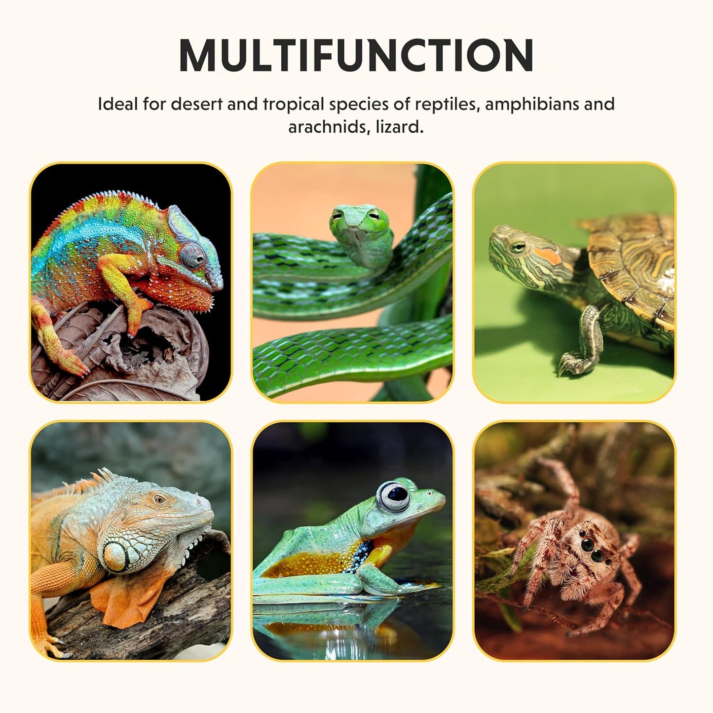 8x12 Inch Reptile Heating Pad with Temperature Controller Waterproof Under Tank Adjustable Terrarium Heat Mats for Reptiles, Amphibians & Small Pets, 2 Pack