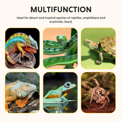 8x12 Inch Reptile Heating Pad with Temperature Controller Waterproof Under Tank Adjustable Terrarium Heat Mats for Reptiles, Amphibians & Small Pets, 2 Pack