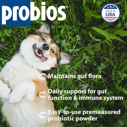Probios Intelliflora for Dogs, Daily Probiotic Powder, Nutritional Supplement for Gut Health, Digestion & Immune Support, 30 sachets (Pack of 2)