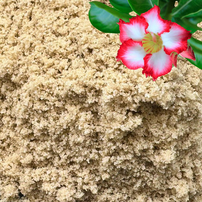 Fine Sand for Plants – Horticultural Sand for Succulents, Cactus, Potting Mixes, Terrariums & Decorative Indoor Gardens, Made in USA (1 Quart - 2.8 lbs)