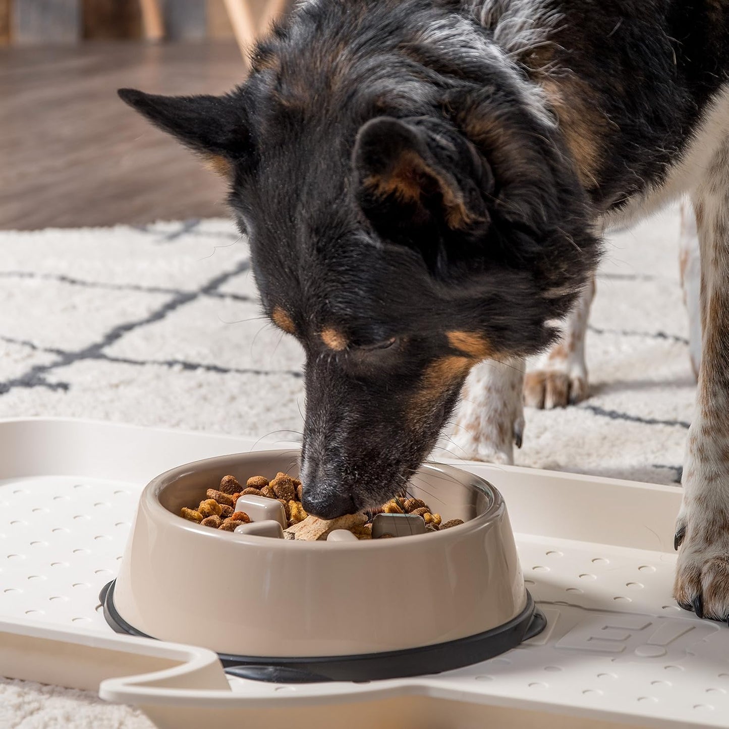 IRIS USA 4-Cup Slow Feeder Bowl, Anti-Choking & Anti-Slip Puzzle Dish for Healthy Digestion, Long Snout Dogs & Cats, BPA & PVC-Free, Beige/Black