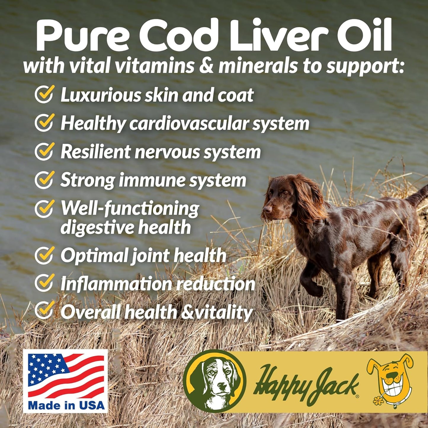 Happy Jack Cod Liver Fish Oil for Dogs Skin and Coat Supplement, Brain, Eyes, Bones, Hip, Joint, Heart & Immune System Health, Energy Booster (16 oz), Omega 3 with EPA & DHA, Vitamin A & D