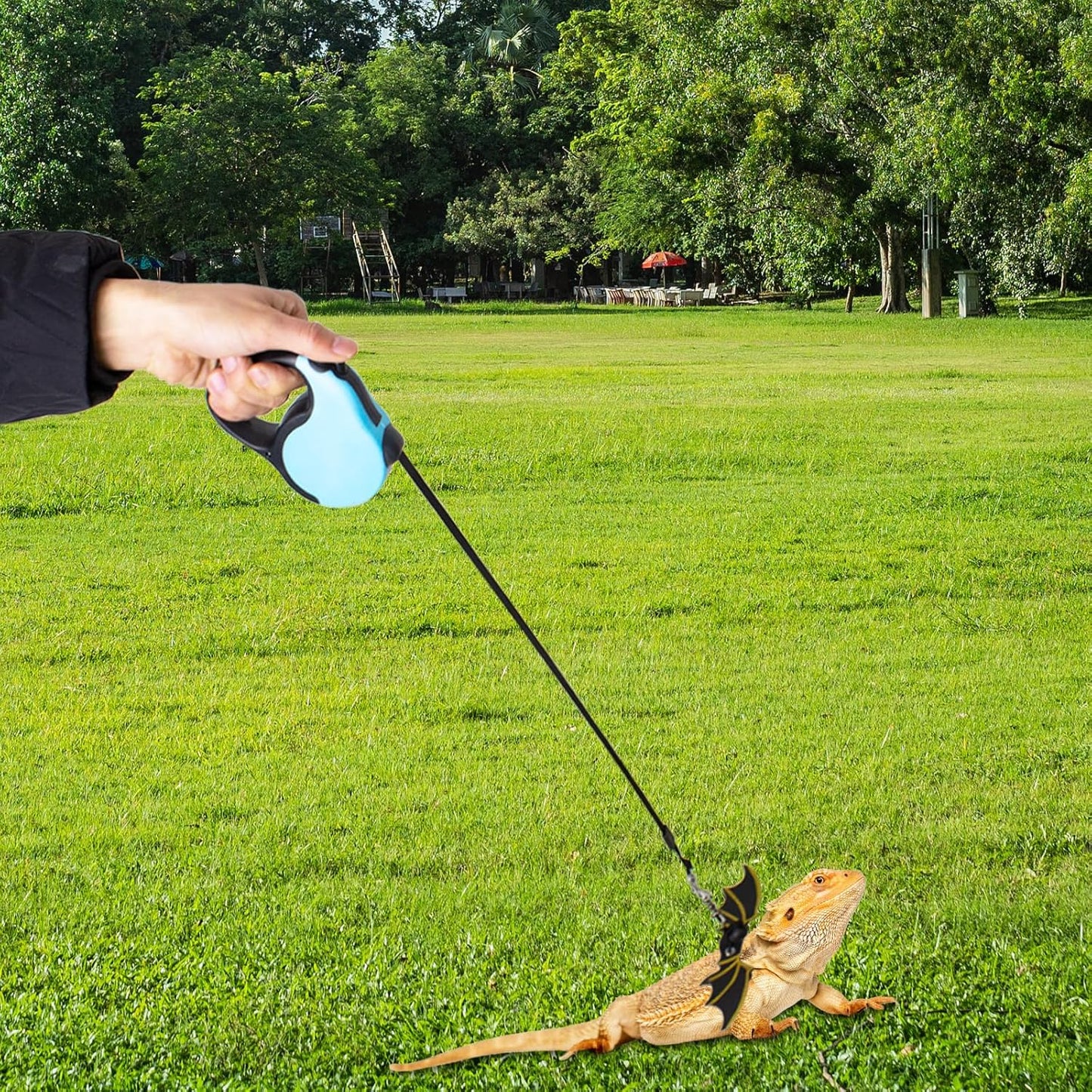 Retractable Bearded Dragon Leash with Dinosaur Wings, Comfortable Leather Harness, 3 Sizes Adjustable Escape-Proof Design