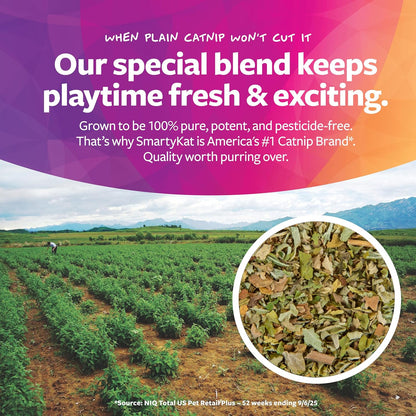 SmartyKat Skitter Critters Value Pack Catnip Cat Toys - Gray/Cream, Set of 10