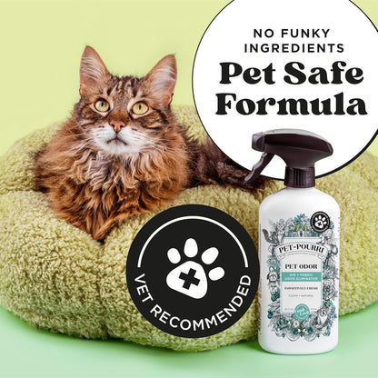 Pet-Pourri Pawsitively Fresh Pet Odor Deodorizer Spray, 16 Fl Oz, Up to 800 Uses, Air + Fabric Odor Remover with Essential Oils & Plant Based Ingredients, Vet Recommended, Pineapple, Jasmine & Pear