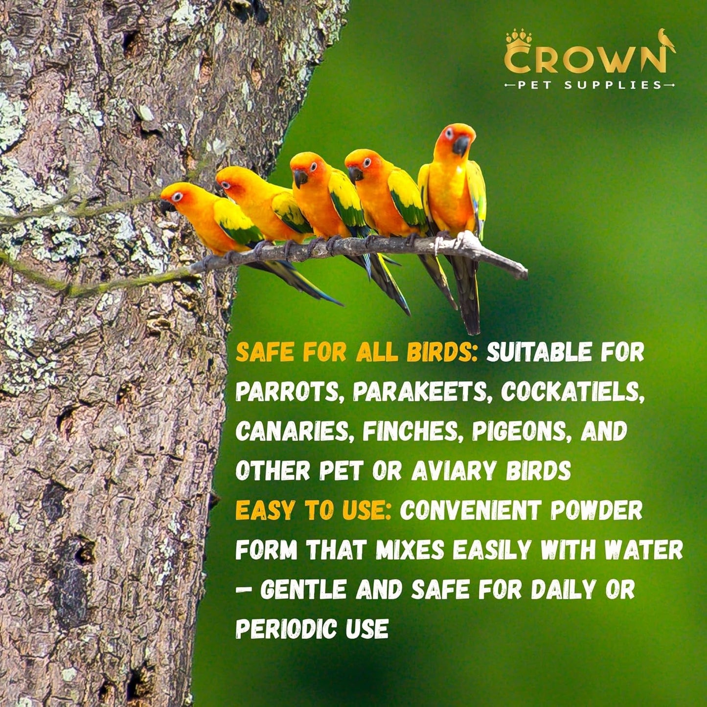 Liver Support Supplement for Birds – 100g Vitamin & Herbal Blend with Milk Thistle, Amino Acids & B Vitamins – Supports Detox, Digestion, Eye Health & Metabolism