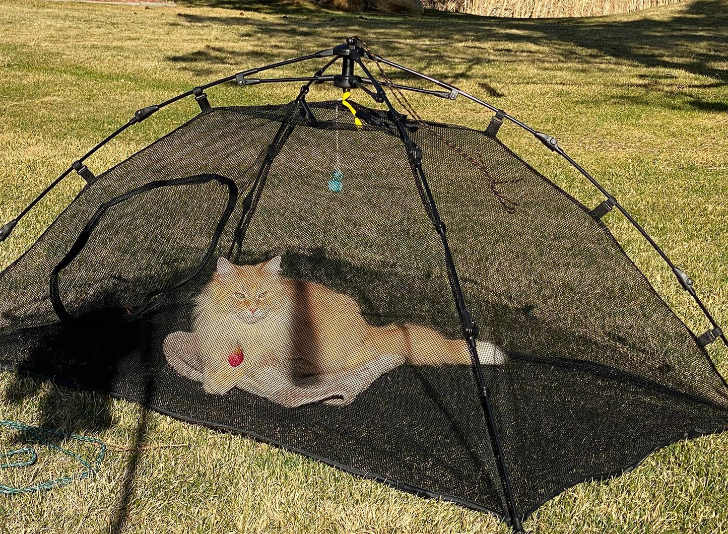 Outdoor Cat Tent for Outside Cat Enclosures Outdoor Pop Up Pet Playpen Playhouse (Play Tents for Small Animals) - Outside Habitat