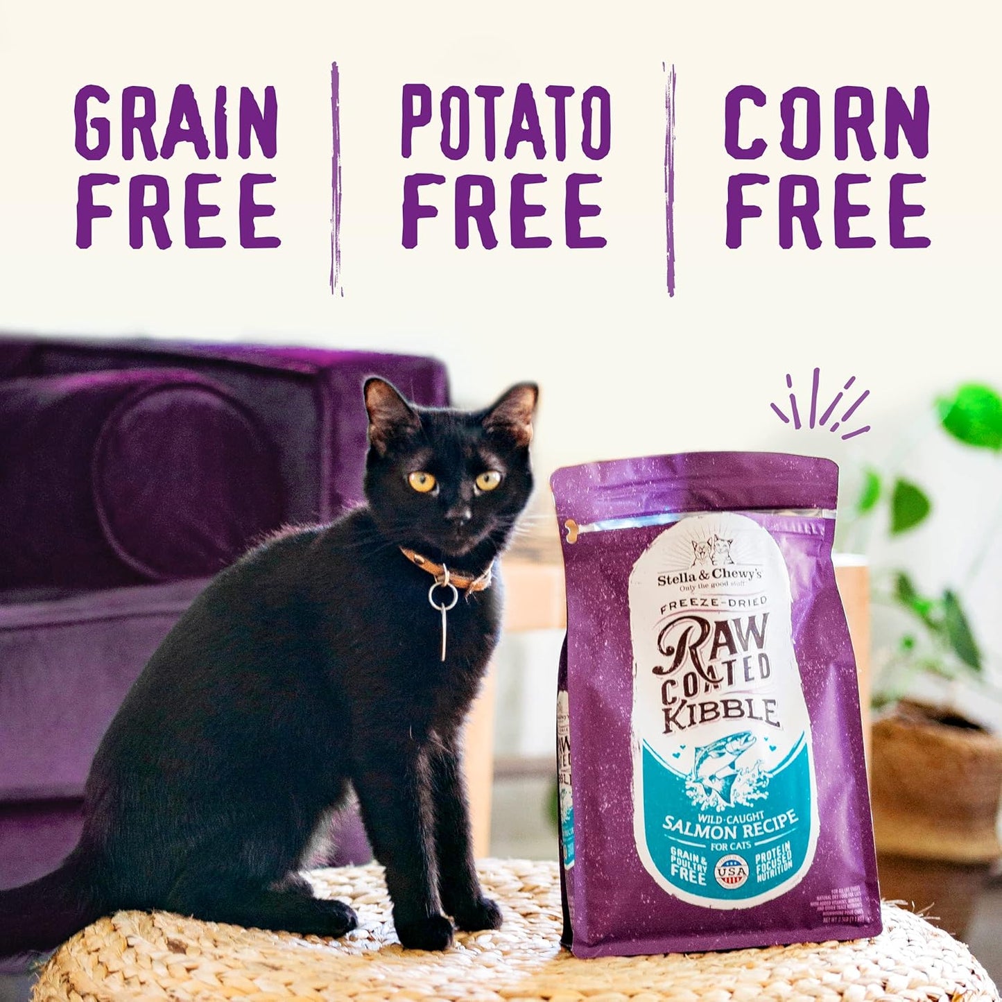 Stella & Chewy's Raw Coated Cat Food - High Protein, Grain-Free Kibble with Cage-Free Duck - Premium Digestive Support with Probiotics - Natural Small Kibble - Perfect For Picky Eaters - 2.5 lb Bag