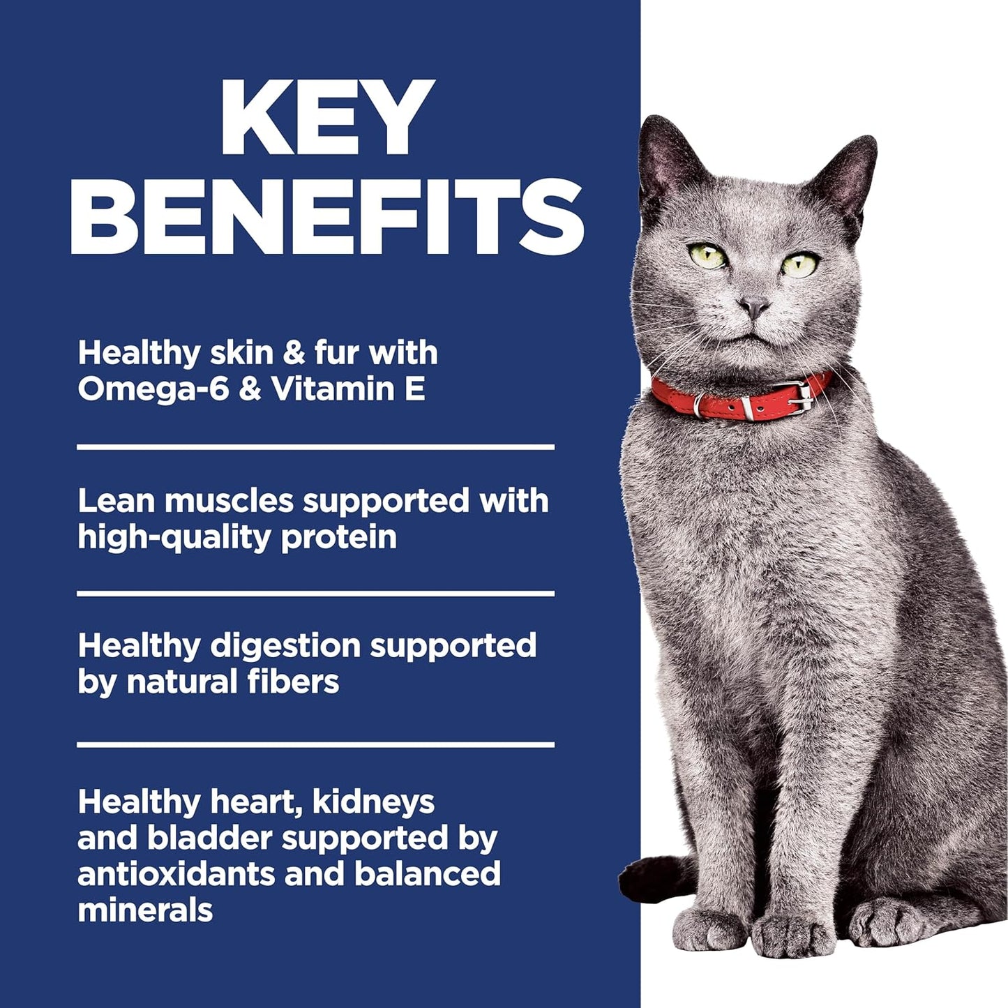 Hill's Science Diet Adult 7+, Senior Adult 7+ Premium Nutrition, Dry Cat Food, No Corn, Wheat, Soy Chicken & Brown Rice, 7 lb Bag