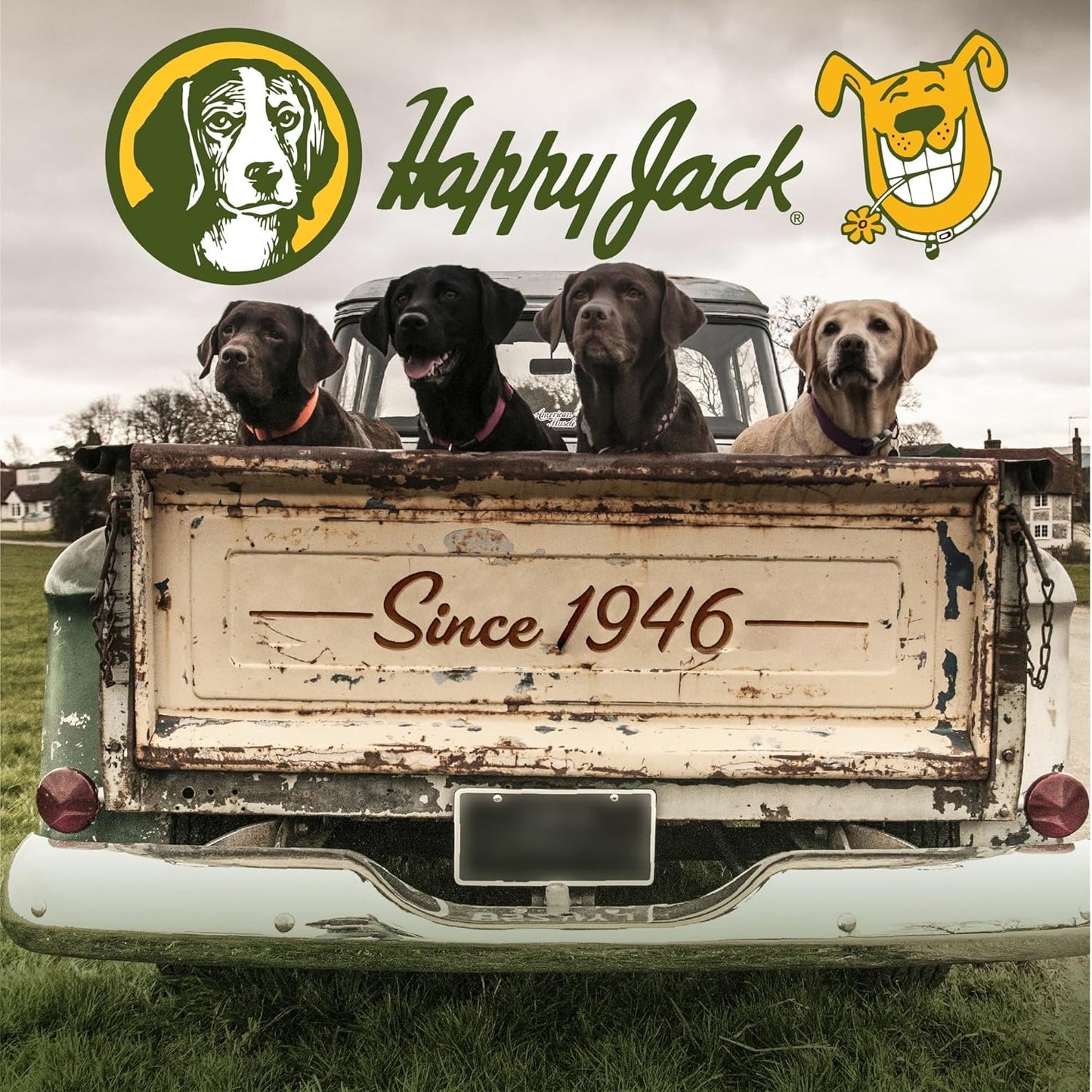 Happy Jack Itch No More Dog Itchy Skin Shampoo & Treatment (16 oz), Flea Bites, Allergies & Itch Relief, Stops Itching, Scratching & Gnawing on First Application for Healthy Dog Skin & Coat