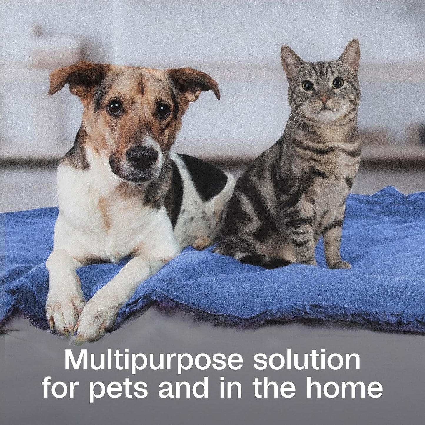 ADAMS Botanicals Flea & Tick Pet & Home Spray, for Dogs, Cats and Home, 16 oz