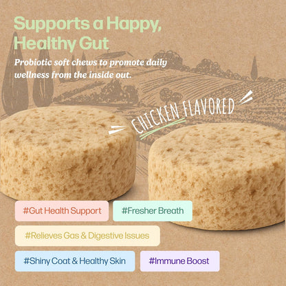 Selly’s Den Probiotics for Dogs Chicken Flavor Chew Supplement 6 Strain Blend Digestive & Immune Support Soft Chews with Enzymes, Prebiotics & Probiotics – Made in USA - 90 Count, 6.5 Oz