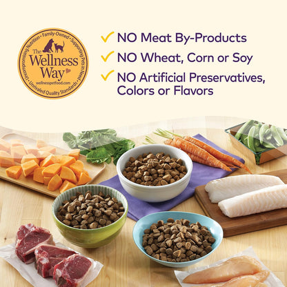 Wellness Natural Pet Food Complete Health Natural Grain Free Dry Dog Food, Chicken, 24-Pound Bag