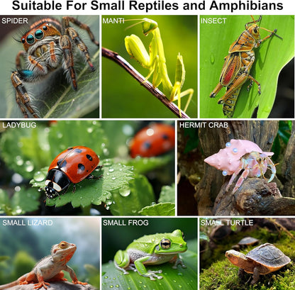 Jumping Spider Enclosure, Spider Terrarium, Acrylic Enclosure Kit, Small Terrarium, Insect Habitat for Spiders, Praying Mantis, Arboreal Tarantula, Bug, Frog, Snail, Lizard and Small Reptiles