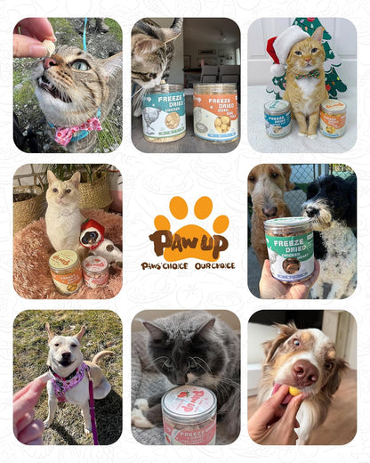 PAWUP Freeze Dried Cat & Dog Treats, Natural Quail Egg Yolk, Single Ingredient, High-Protein Pet Snacks for Skin & Coat Health, No Artificial Additives, 9.2 oz