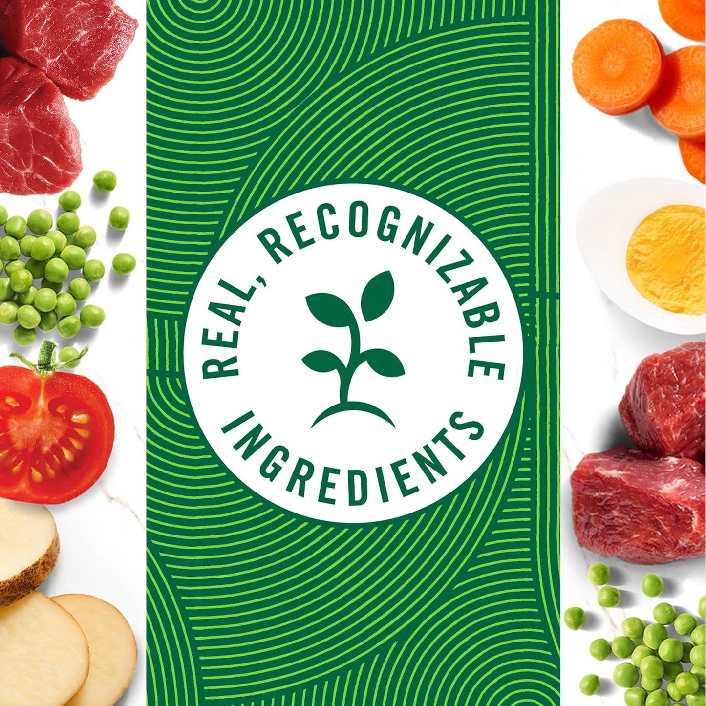 Nutro Natural Choice Cuts in Gravy Wet Dog Food Lamb Beef Variety Pack, 3.5 oz. Trays (12 Count, Pack of 2)