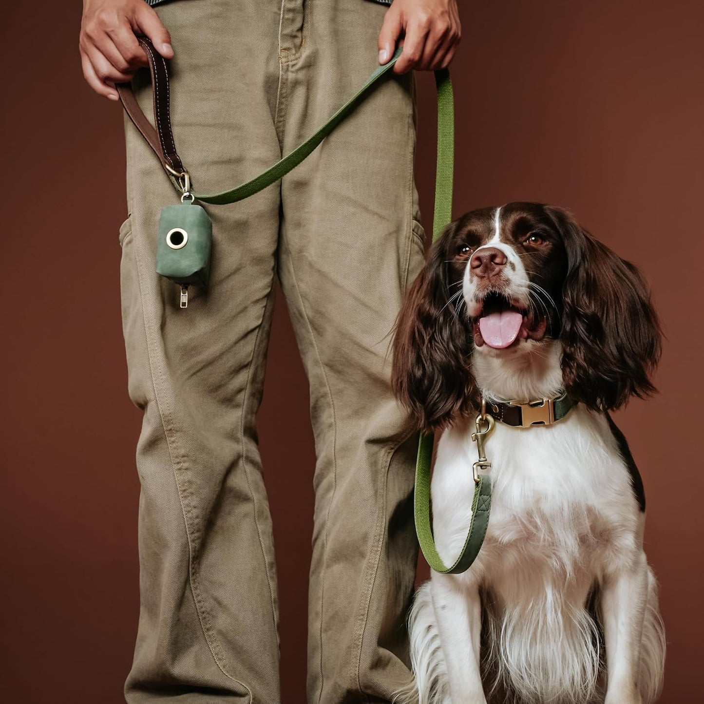 Didog Soft PU Leather Dog Collars for Medium Dogs,Classic Adjustable Dog Collars with Quick Release Metal Buckle,Easy Clean and Comfortable with Nylon Lining,Green,M Neck 13-19"