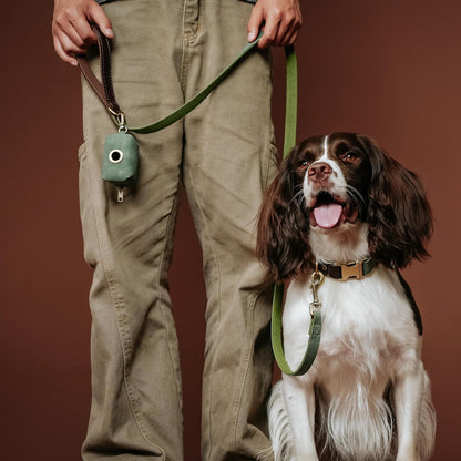 Didog Soft PU Leather Dog Collars for Medium Dogs,Classic Adjustable Dog Collars with Quick Release Metal Buckle,Easy Clean and Comfortable with Nylon Lining,Green,M Neck 13-19"