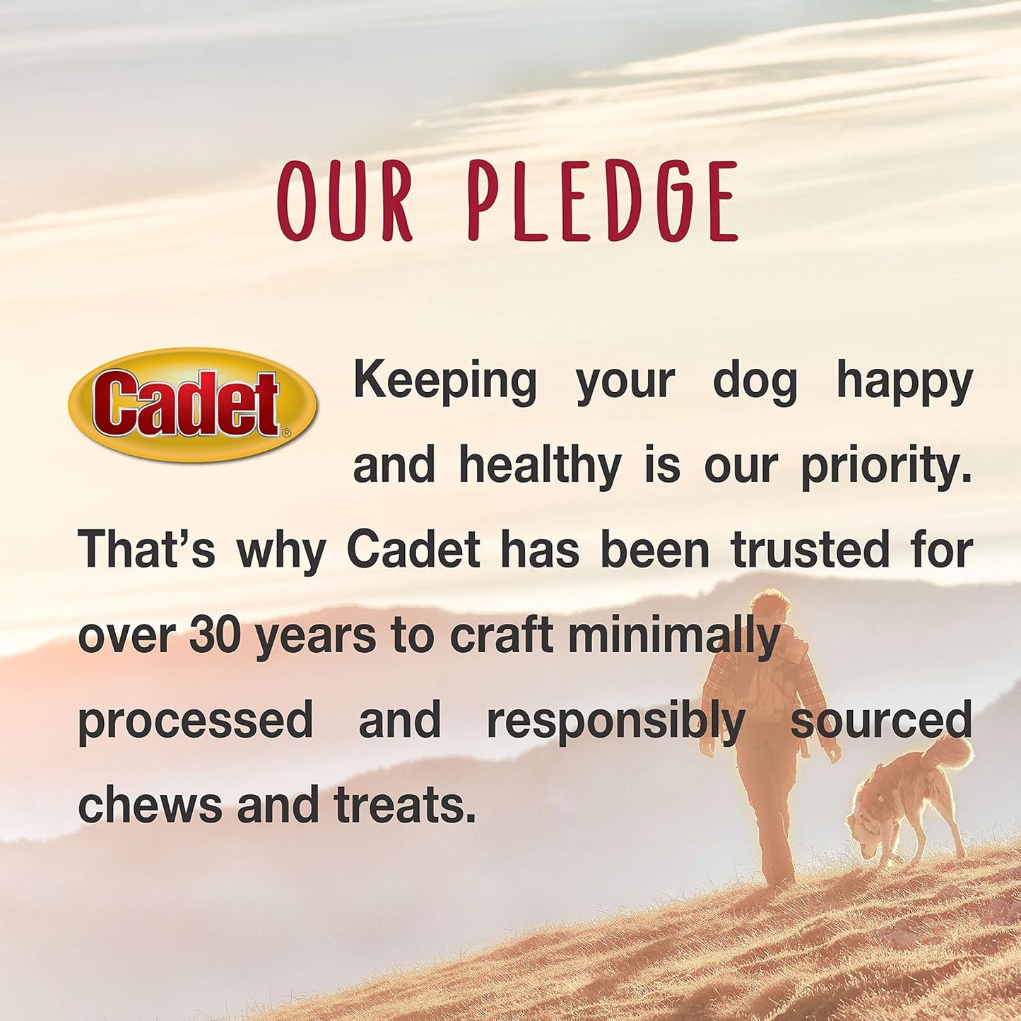 Cadet Premium Grade Beef Hide for Dogs, Long-Lasting Munchy Chew Sticks, Single-Ingredient Rawhide Dog Chews, 5-Inch, 100 Count