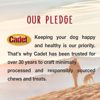 Cadet Premium Grade Beef Hide for Dogs, Long-Lasting Munchy Chew Sticks, Single-Ingredient Rawhide Dog Chews, 5-Inch, 100 Count