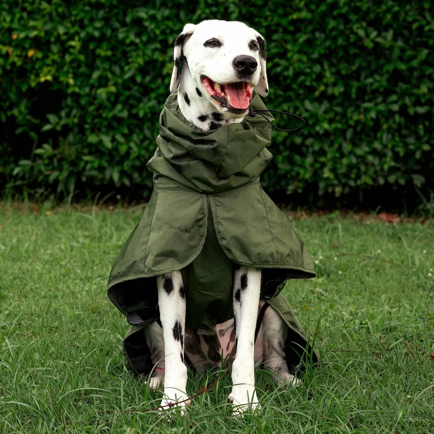 Tuff Pupper Waterproof Dog Raincoat | Full-Body Windproof Rain Jacket for Dogs | Reflective Strips | Breathable Mesh Lining | Adjustable Fit | Leash Port | Small Medium Large XL XXL Dogs (Olive, XL)