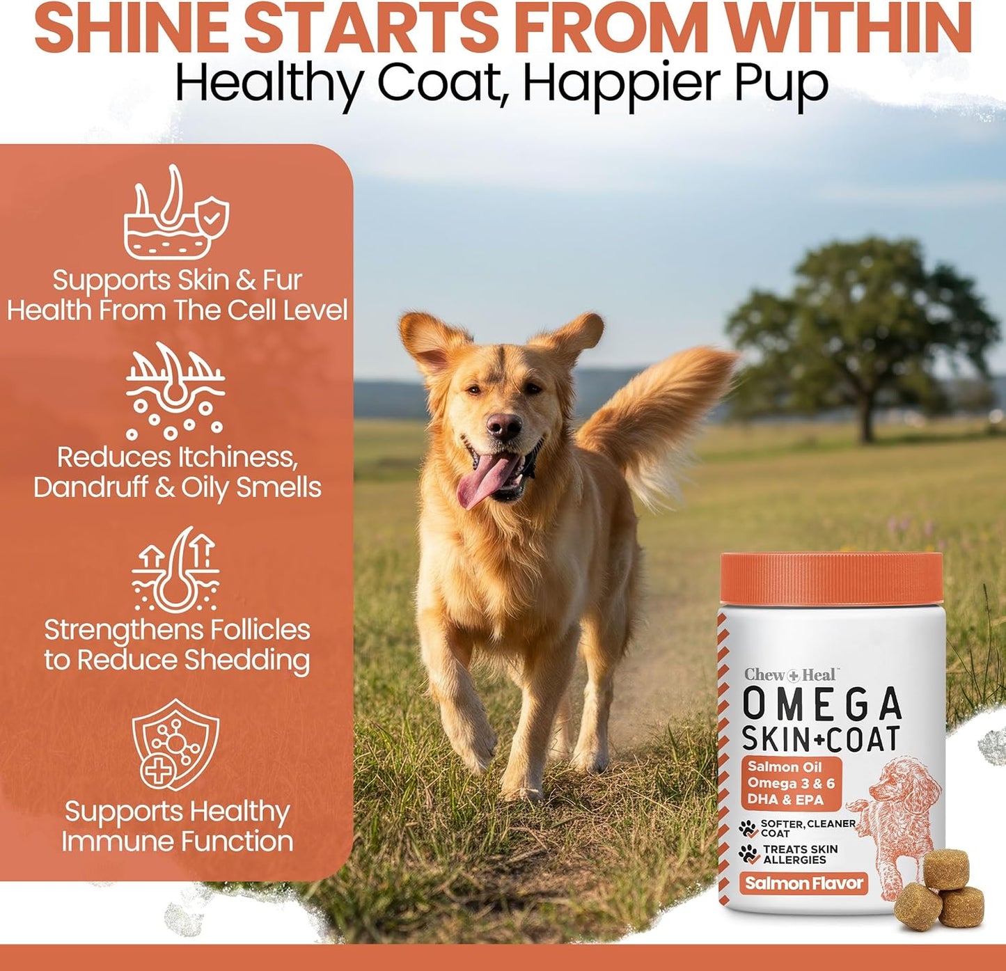 Salmon Oil for Dogs - Soft Chew Omega Treats for Skin and Coat - Fish Oil Blend of Essential Fatty Acids, Omega 3 and 6, Vitamins, Antioxidants and Minerals - Made in USA (180 Chews, Salmon)