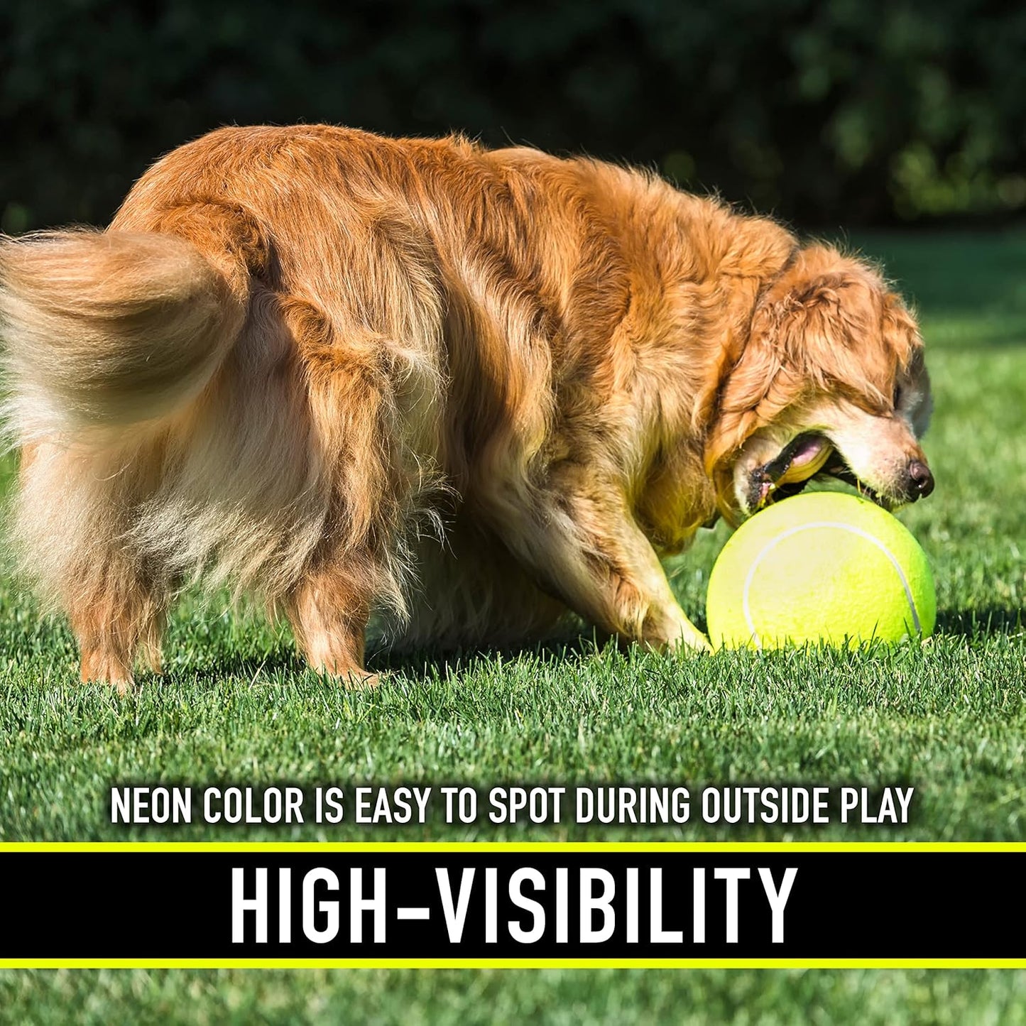 Franklin Pet Supply Co. Ready Set Fetch Oversized Dog Tennis Ball - 8.5" Jumbo Size - Pump Included
