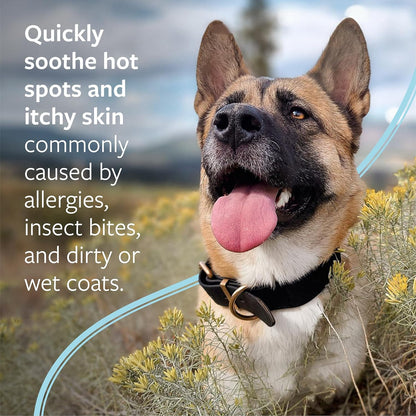 Veterinary Formula Clinical Care Hot Spot & Itch Relief Medicated Spray, 8oz – Easy to Use Spray for Dogs & Cats – Helps Alleviate Sensitive Skin, Scratching, and Licking of Coat (1 Pack)