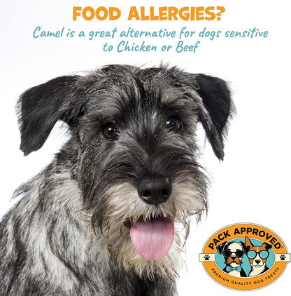 Camel Skin Dog Chews for Aggressive Chewers - Hypoallergenic Natural Collagen Sticks for Dental Health & Protein Boost - Long Lasting Treats for Large Dogs