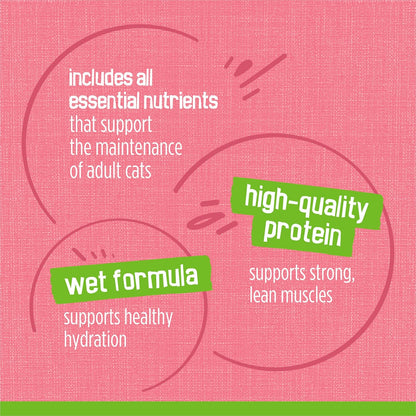 Purina Friskies Wet Cat Food Pate, Pate Salmon Dinner - (Pack of 24) 5.5 oz. Cans