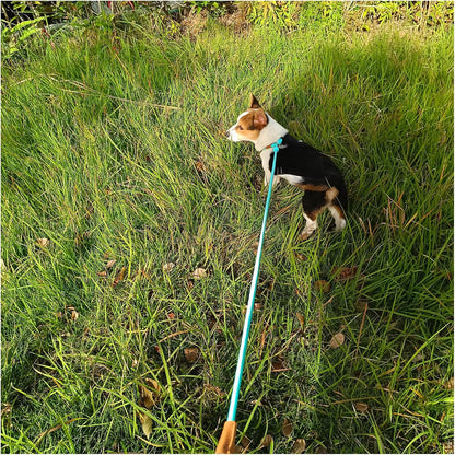 6ft Small Dog Training Leash, 1/4 inch (Black +Turquoise)