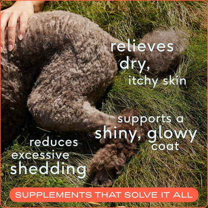 Native Pet Pack Leaders Bundle: Daily Multivitamin (30 Scoops) & Omega Oil for Dogs (16 oz.) - Omega 3 Fish Oil for Healthy Skin, Shiny Coat, & Strong Joints & Daily Multivitamin for Dogs