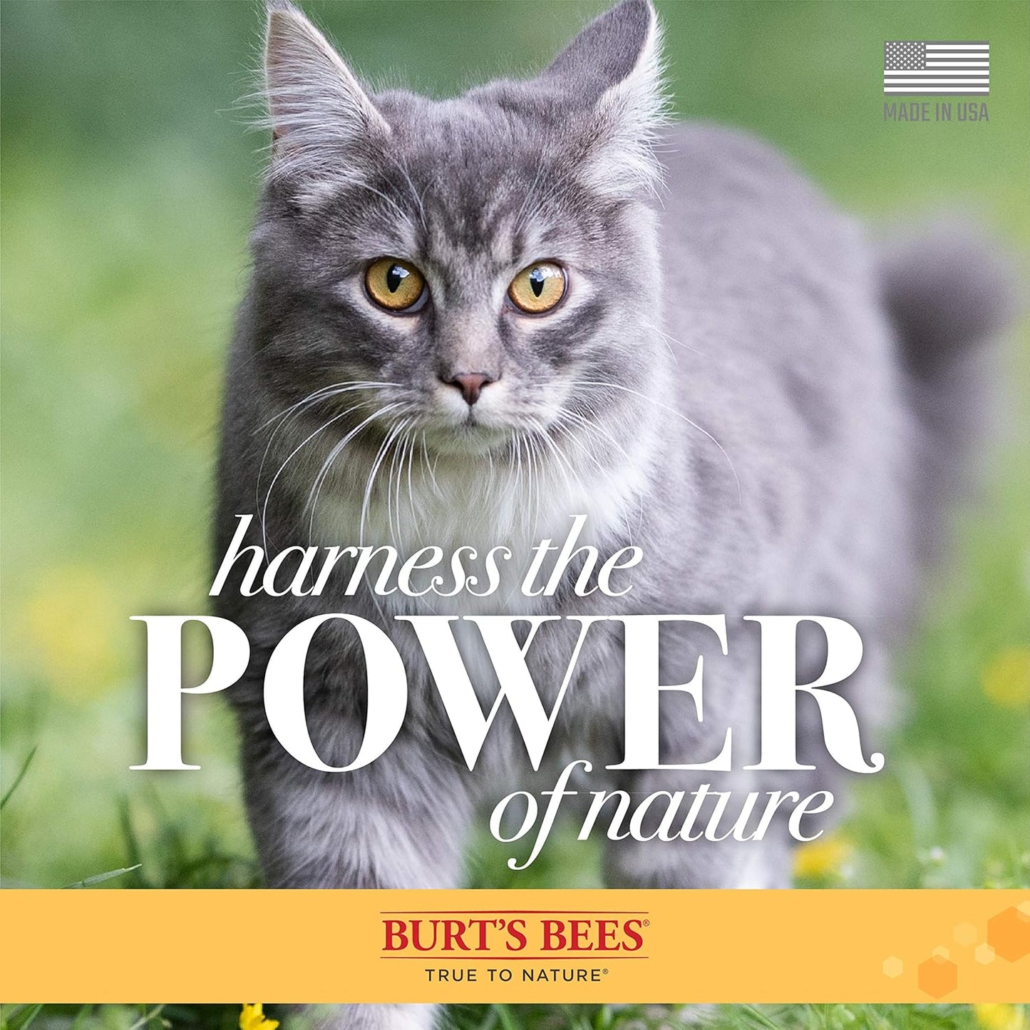 Burt's Bees for Pets Dander Reducing Cat Spray with Colloidal Oat Flour and Honey - Cat Dander Remover Gives Dry Skin Relief for Cats, Essential Kitten Supplies for Allergy Relief, 10 Fl Oz