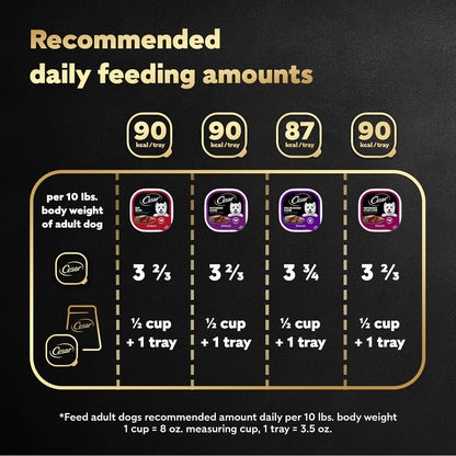 Cesar Wet Dog Food Classic Loaf in Sauce, Breakfast and Dinner with Grilled Steak & Eggs Flavor, and Chicken & Liver Flavor, 3.5 oz. Easy Peel Trays, Variety Pack 24 Count (Pack of 1)