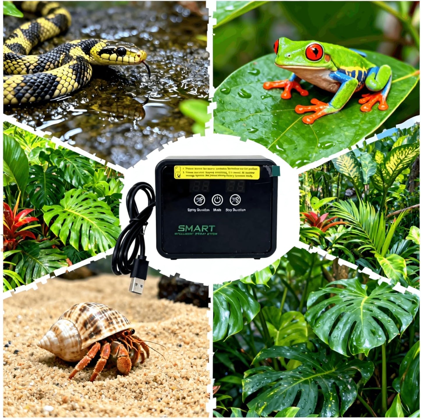 Reptile Mister System, Mister for Reptile Tank Terrarium Fogger/Humidifier & 360° Nozzles 5PCS, Reptile Misters Automatic for Bearded Dragon，Snake, Gecko, Frog, Lizard