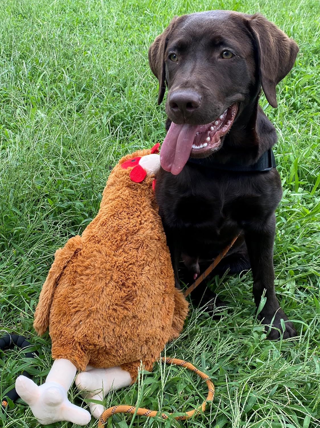 HDP Rooster Size:12 Inch Color:White Rooster