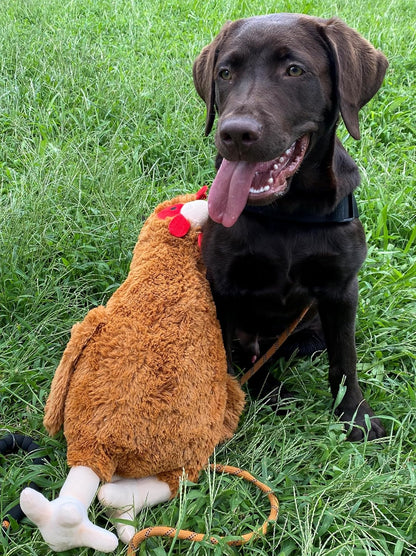 HDP Rooster Size:12 Inch Color:White Rooster