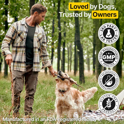 Flea and Tick Prevention for Dogs Chewable – Natural Flea Pills for Dogs, All Breeds & Ages, Chicken Flavor – Dog Flea and Tick Treatment Chewable Supplement – 2 Pack, 340 Count, Made in USA