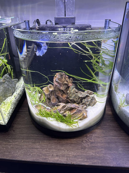 Aqua Natural Sugar White Sand 10lb Substrate for aquascaping, Aquariums, vivariums and terrariums